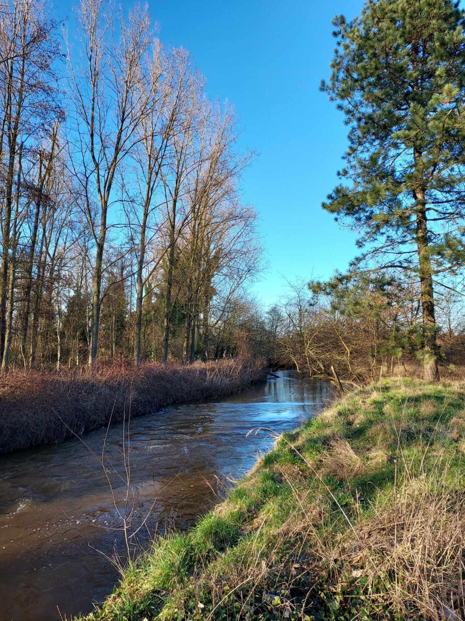 Rustig Gelegen Chalet Solvo Met Terras Aan Het Water 赫尔 外观 照片
